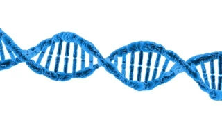 A stock image of DNA in blue colour.